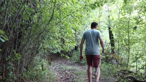Man-walking-in-the-green-forest---shot-from-behind