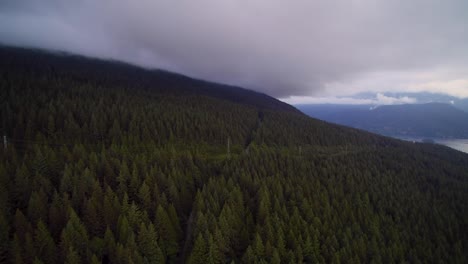Drone-4K-Footage-of-a-beautiful-lush-and-evergreen-conifer-forest-slope-of-a-mountain-and-a-road-that-cuts-through-mount-seymour-vancouver-BC-road-to-local-ski-hill