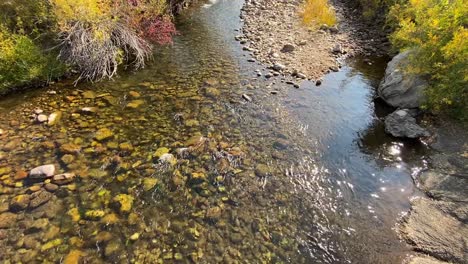 A-fresh-water-stream-in-autumn