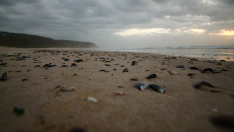 Das-Meer-Küsst-Den-Sand-Und-Die-Muscheln-Zur-Goldenen-Stunde