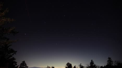 A-stunning-time-lapse-of-the-stars-moving-over-trees-at-night-and-shooting-stars-in-the-background