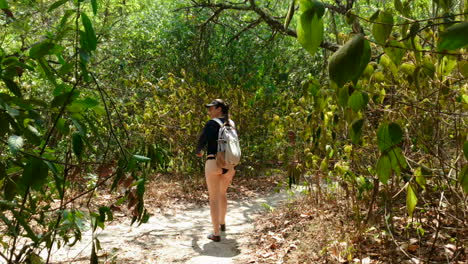 Backpacker-Hispanic-woman-hiking-through-forest-in-swimwear,-follow-shot