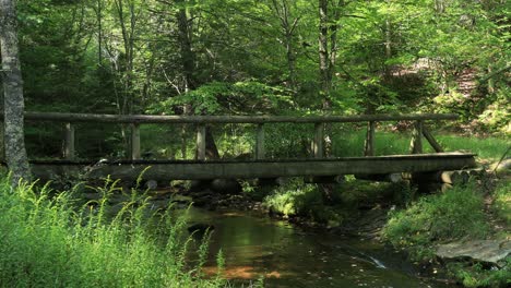An-empty-footbridge-at-Judy-Springs,-located-within-the-Spruce-Knob-Seneca-Rocks-National-Recreation-Area-in-West-Virginia