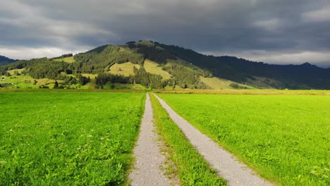 Camino-De-Tierra-Alpino-Sereno-En-Medio-De-Pastos-Verdes-En-Suiza-En-Día-Lluvioso,-Aéreo