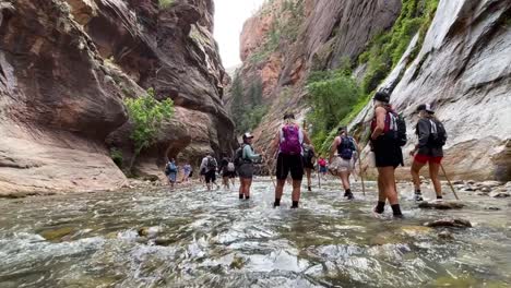 Turistas-Caminando-Por-El-Agua-En-La-Caminata-Estrecha-En-El-Parque-Nacional-Zion