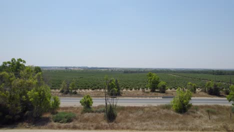 Camino-Verde-En-Sdot-Negev,-Israel