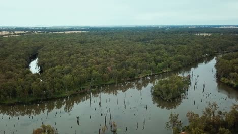 Drone-footage-of-the-meandering-Ovens-River-and-eucalypt-floodplains-where-it-joins-the-Murray-River-near-Bundalong,-Victoria,-Australia