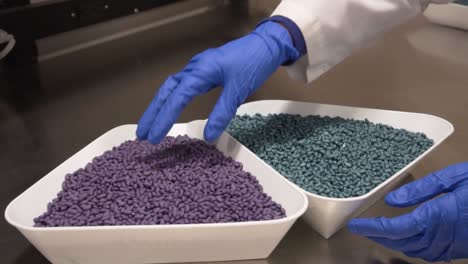 Scientist-examining-color-treatment-on-soybean-and-corn-seeds-in-a-lab