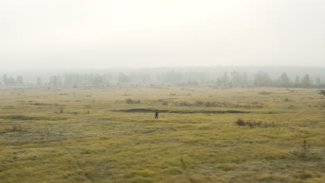 Young-documentarist-taking-pictures-in-a-misty-moorland,autumn,Czechia