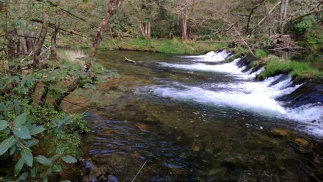 Kleiner-Wasserfall-Im-Damm-Des-Flusses-Sor,-Der-Im-Frühling-Durch-Das-Tal-Der-Grünen-Natur-Fließt