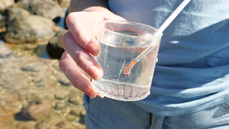 A-citizen-scientist-conducting-field-research-observes-marine-animals-in-a-specimen-jar