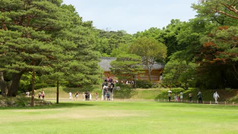 Nokjiwon-is-the-presidential-garden,-where-each-president-has-planted-a-tree