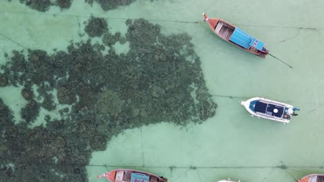 Thailändische-Longtail-Boote-Verankert-Im-Türkisfarbenen-Korallenwasser-Am-Strand-Von-Pattaya-In-Koh-Lipe,-Thailand,-Luftaufnahme-Von-Oben-Nach-Unten