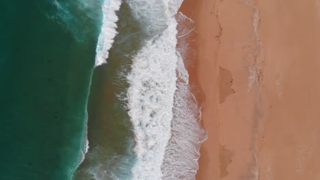 Aerial-Top-Down-View-of-Beautiful-Sandy-Beach,-Green-Water-Ocean-and-Waves-Crashing-on-Sea-Shore