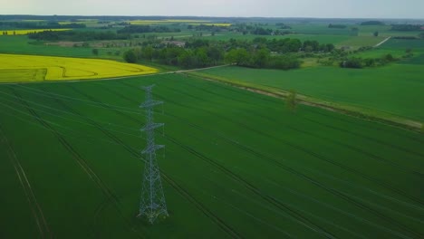 Aerial-flyover-blooming-rapeseed-field,-flying-over-lush-yellow-canola-flowers,-idyllic-farmer-landscape-with-high-voltage-power-line,-overcast-day,-wide-drone-shot-moving-forward