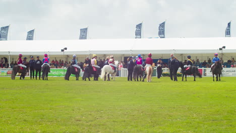 The-Royal-Cornwall-Show-2022-with-Young-Boys-Sat-on-Shetland-Ponies-Preparing-for-a-Award-Ceremony