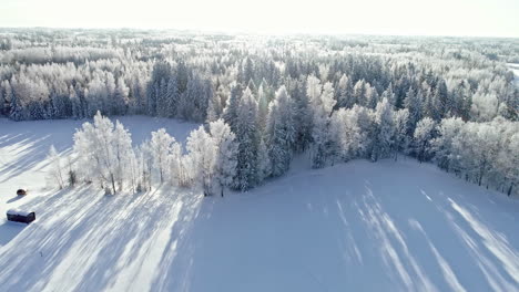 Winter-Forest-Aerial-Landscape-During-Sunset