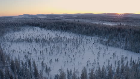 Aerial-view-following-convoy-of-snowmobile-through-snow-covered-Scandinavian-woodland-wilderness-trail