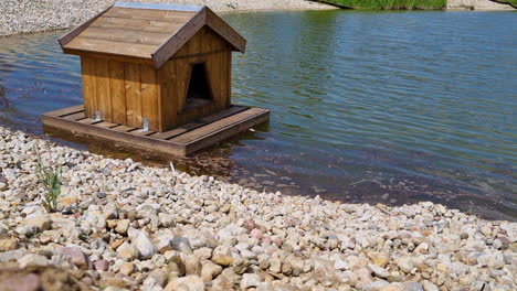 A-small-wooden-duck-house-floats-on-the-surface-of-the-lake