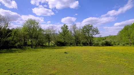 flowers-in-pasture-aerial-in-springtime-near-mountain-city-tennessee