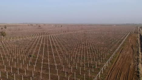Toma-Aérea-Baja-Sobre-Campos-Agrícolas-Preparados-Para-La-Plantación-En-El-Oeste-Del-Valle-De-Beqaa,-Líbano