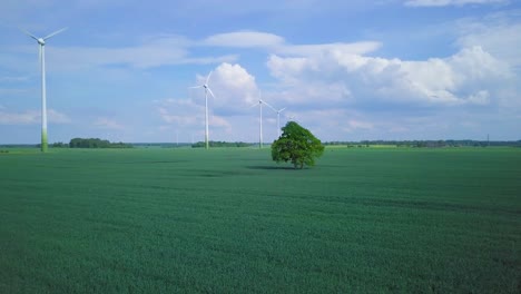 Aerial-view-of-wind-turbines-generating-renewable-energy-in-the-wind-farm,-sunny-summer-day,-lush-green-agricultural-cereal-fields,-lone-oak-tree,-countryside-roads,-wide-drone-dolly-shot-moving-right