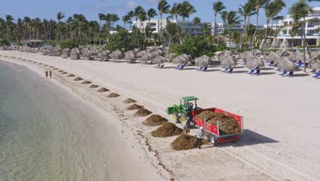 Local-Workers-Cleaning-Pile-Of-Seaweeds-On-The-Beach-Resort-Then-Load-Into-Tractor