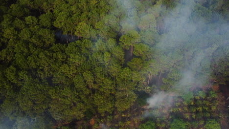 Aerial-top-down-burning-forest-emitting-white-smoke
