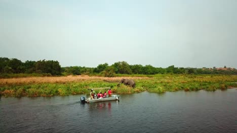 Boat-Ride-Tour-Along-River-Nile-in-Uganda-With-Grazing-Elephant-At-The-Grassy-Riverbank