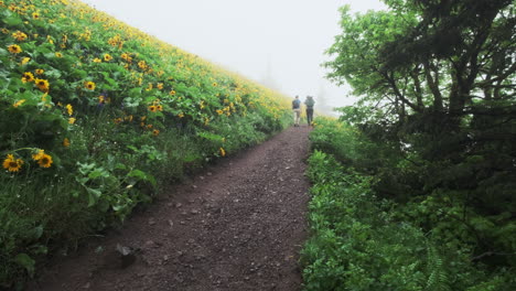 Two-adults-hiking-mountain-trail-into-mist-by-hillside-of-wildflowers