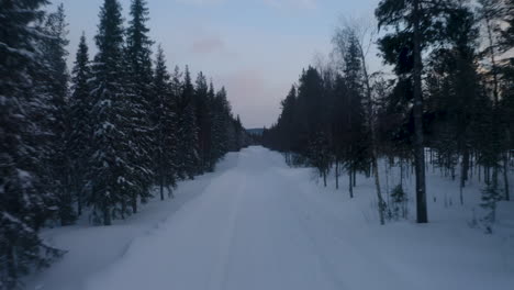 Aerial-view-down-long-straight-eerie-Lapland-wintry-woodland-forest-road-at-dusk