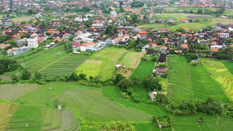 Vibrantes-Terrazas-De-Arrozales-Verdes-En-La-Parte-Rural-De-La-Isla-En-Bali,-Antena