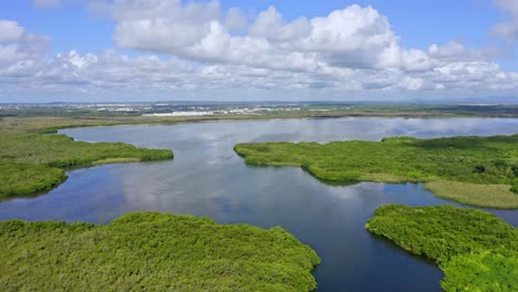 Laguna-Bavaro-wildlife-refuge-with-mangrove-forests