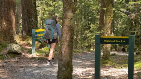 Slider,-female-hiker-walks-past-Routeburn-Track-signs-in-forest,-New-Zealand