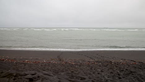 Black-sand-beach-in-Iceland-with-gimbal-video-moving-panning-right