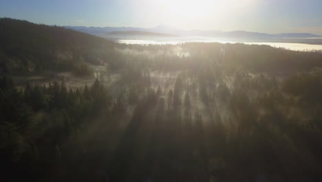 Große-Luftaufnahme-Von-Sonnenstrahlen,-Die-Durch-Nebel-Im-Wald-Scheinen
