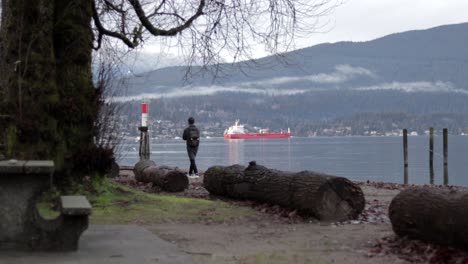 Various-shots-at-Barnet-Marine-Park-in-BC,-Canada-on-a-nice-winter-day