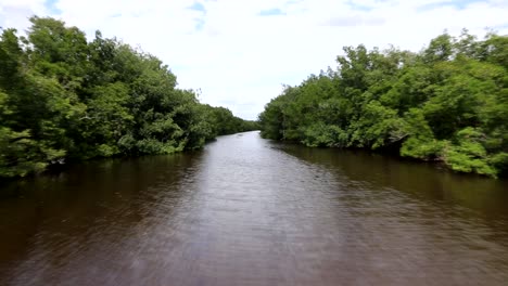 Drohnenaufnahmen-An-Einem-Fluss-In-Den-Everglades-In-Florida