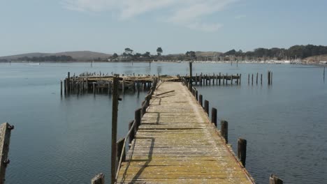 Aerial-video-of-Old-Abandoned-dock-with-birds-flying-past-in-Northern-California-Bodega-Bay