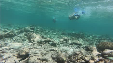 Snorkel-En-Las-Maldivas