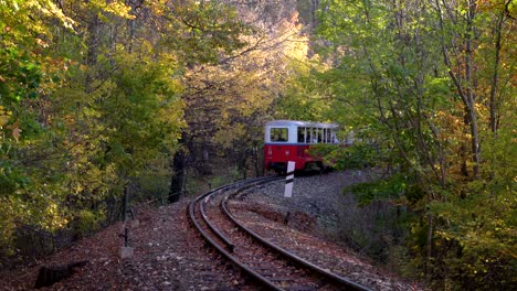 Ferrocarril-En-El-Bosque-Budapest,-Hungría