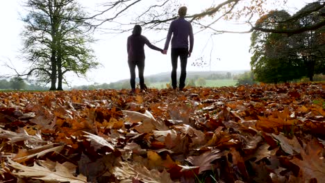 Cute-Couple-Hold-Hands-and-Walk-Over-the-Camera-Through-Fallen-Leaves