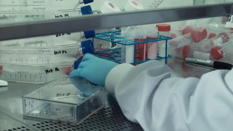 Pharmazeutisches-Labor-Füllt-Petrischale-Mit-Roter-Flüssigkeit,-Um-Tests-Durchzuführen