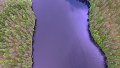 Drohnenvideo-Eines-Waldsees-Mitten-Im-Finnischen-Nadelwald