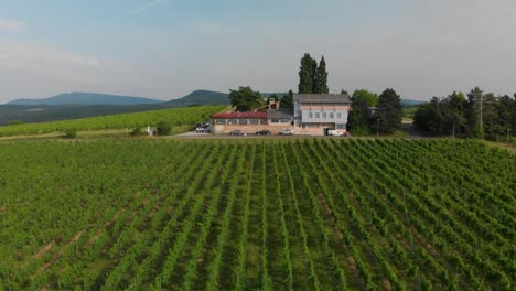 Luxury-resort-accommodation-surrounded-by-vineyards-in-the-hills-in-Hungary---Aerial-Drone
