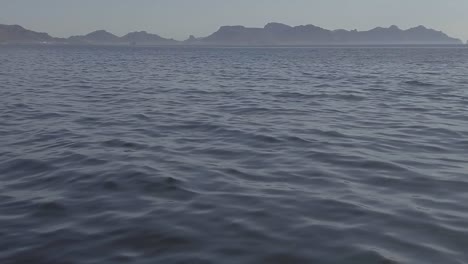 Zeitlupenaufnahmen-Von-Seltenen-Delfinen,-Die-In-Der-Nähe-Eines-Bootes-Im-Meer-Von-Cortez-Spielen