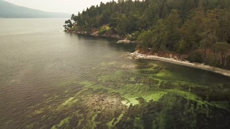 Aerial-Daytime-Wide-Shot-Descends-Toward-Green-Ocean-Waves-And-A-Rocky-Tree-Covered-Point-And-Sand-Beach-Showing-Turquoise-Underwater-Rocks-And-Kelp-In-Gulf-Islands-British-Columbia-Canada