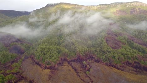 Aerial-flight-over-foggy-mountains-and-green-and-red-forest-in-Tasmania-in-Australia,-wide-shot-moving-right