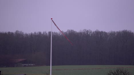 Danish-pennant-in-the-wind-on-a-frosty-day