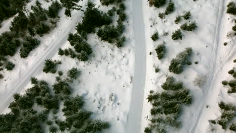 Aerial-view-of-a-snowy-hiking-trail-in-a-winter-wonderland-with-a-lot-of-pine-trees,-Black-Forest,-Germany